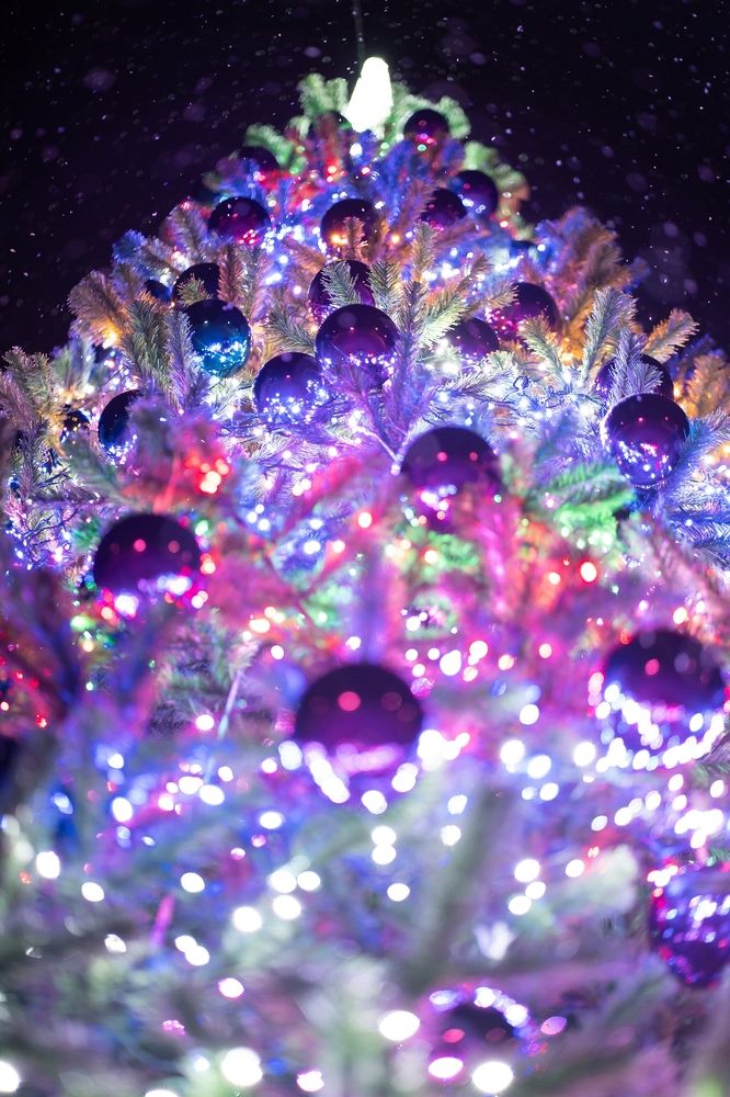 Photograph by Екатерина Одинцова