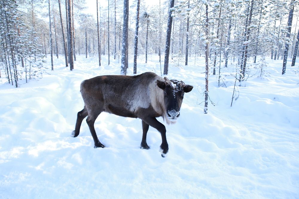 Photograph by Сергей Трембач