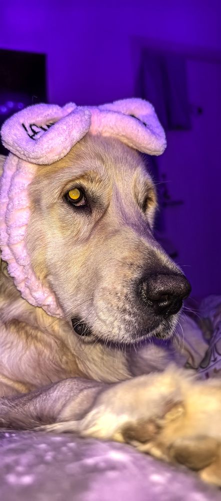 Photograph by Аня Косс