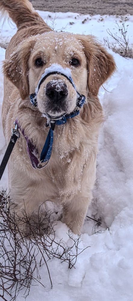 Photograph by Аня Косс