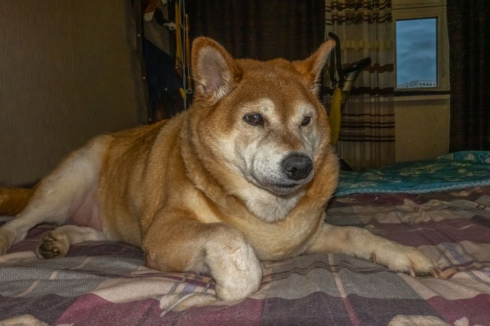 Photograph by Валерий Клейменов