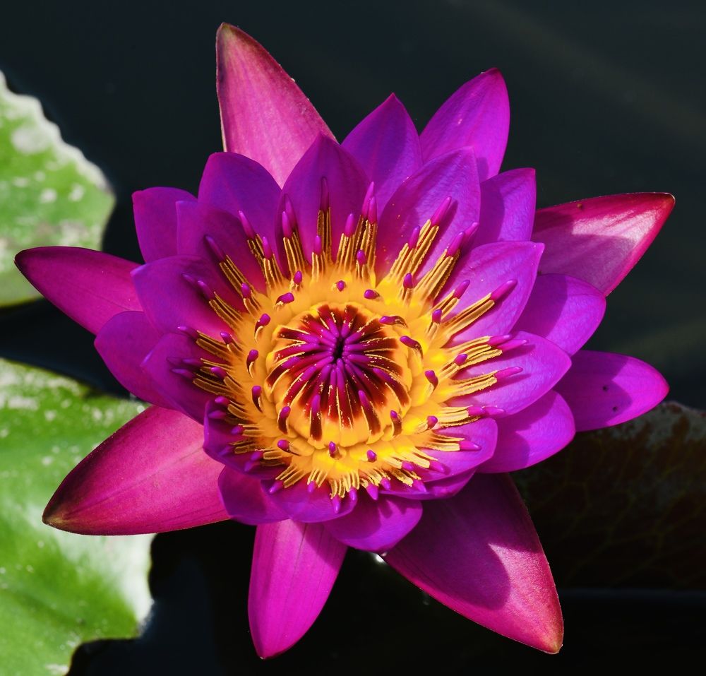 Фотография автора Gaurav Khosla