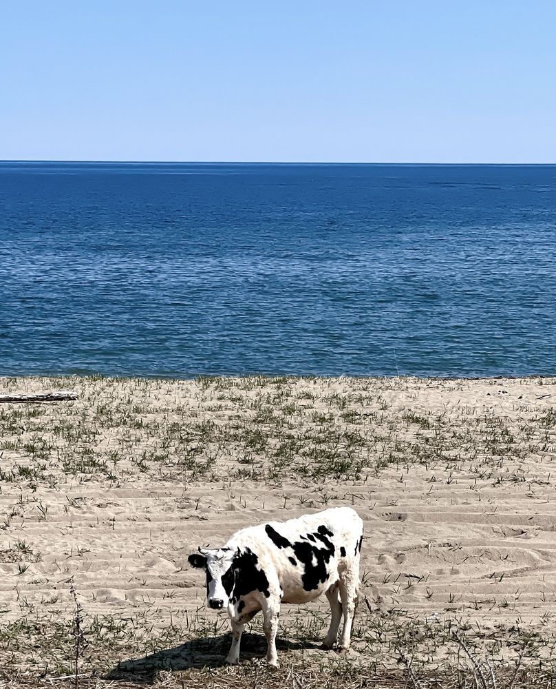 Фотография автора Елена