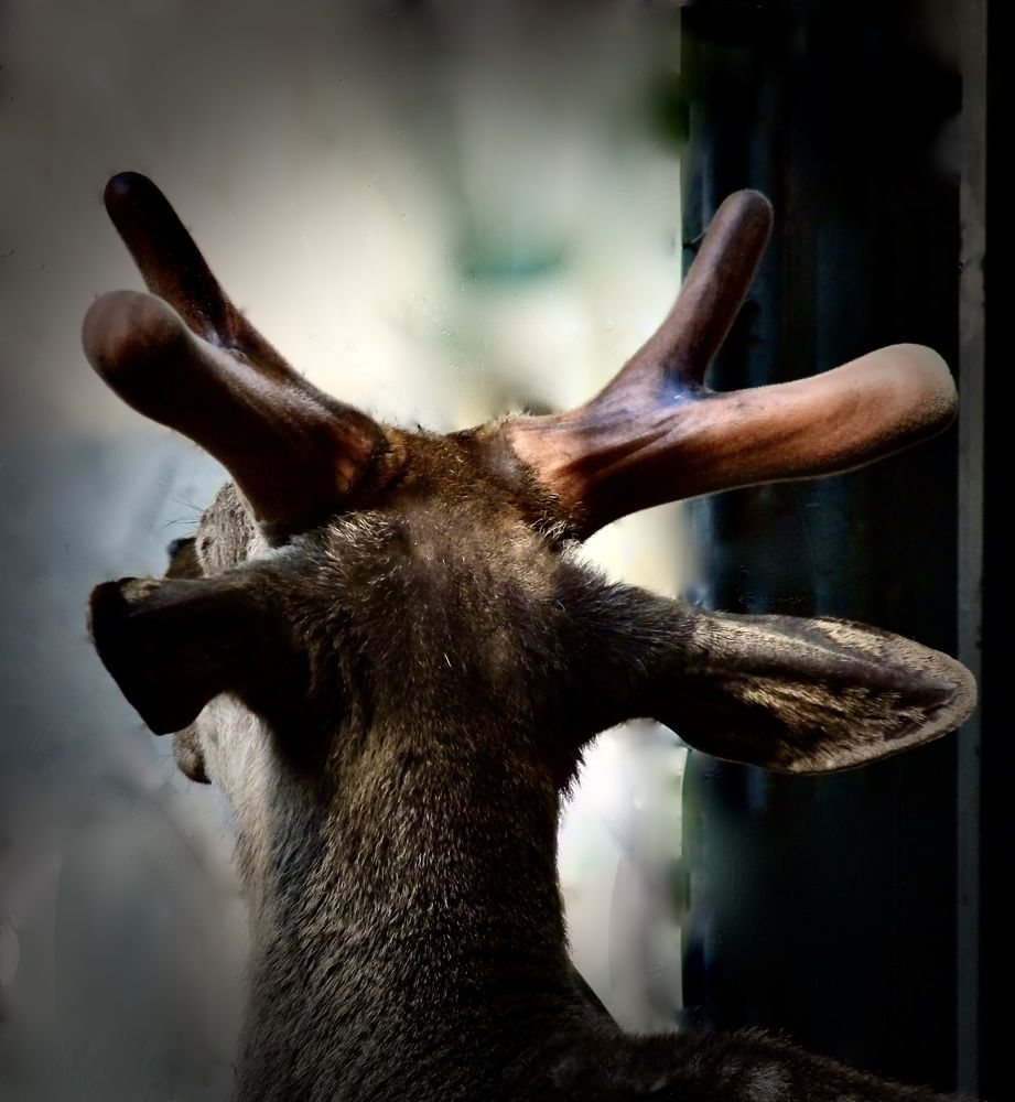 Photograph by Татьяна Шитлина