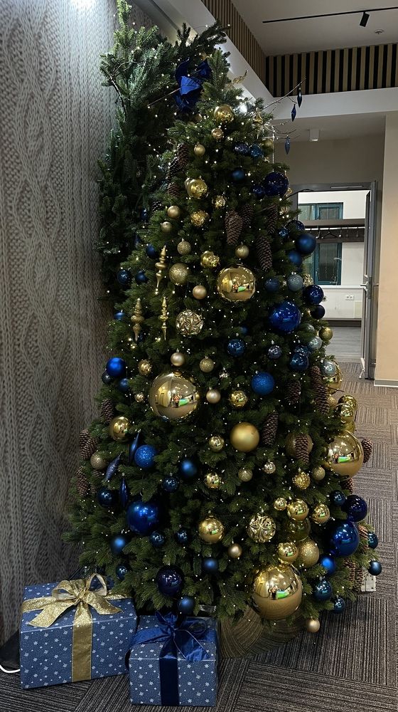 Фотография автора Елена