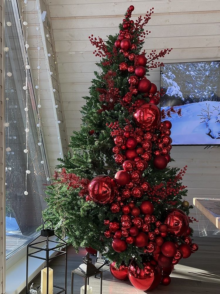 Фотография автора Елена