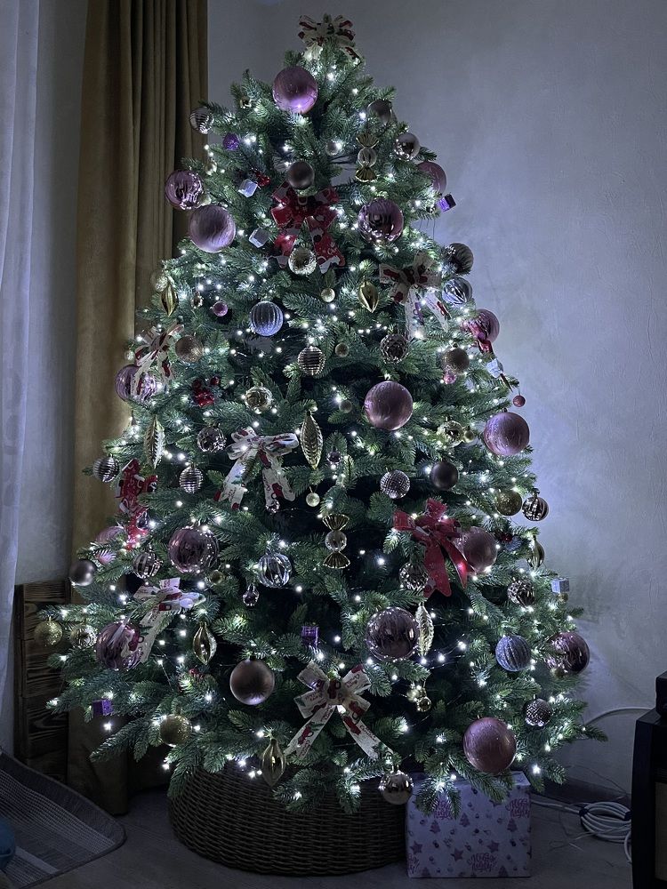 Фотография автора Елена