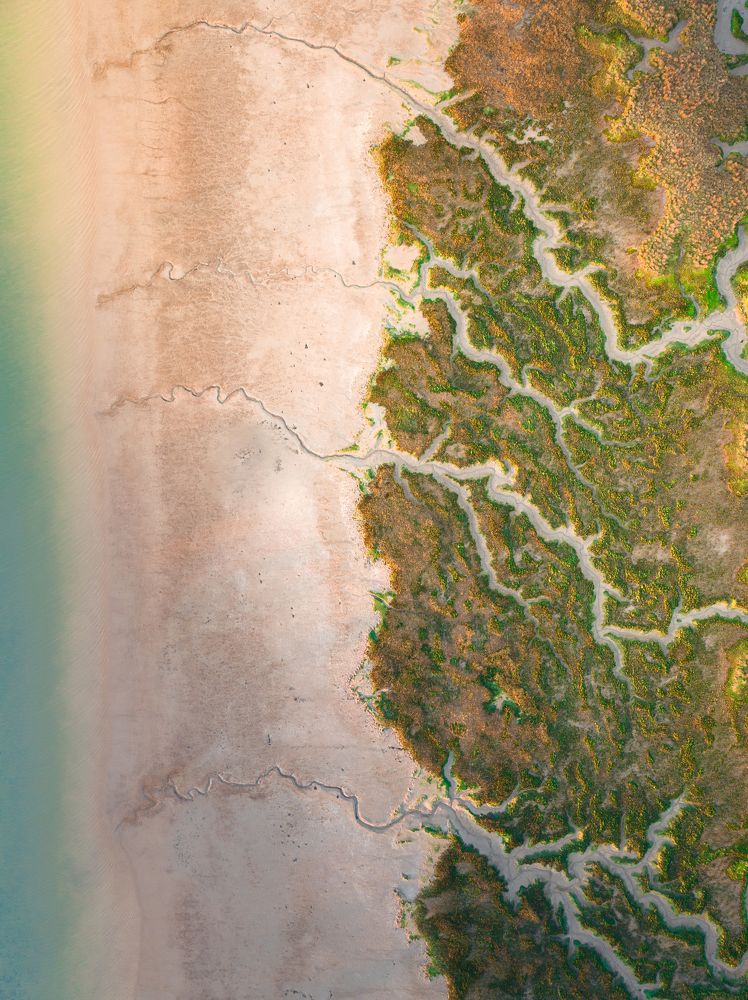 Photograph by Alina Yantsen