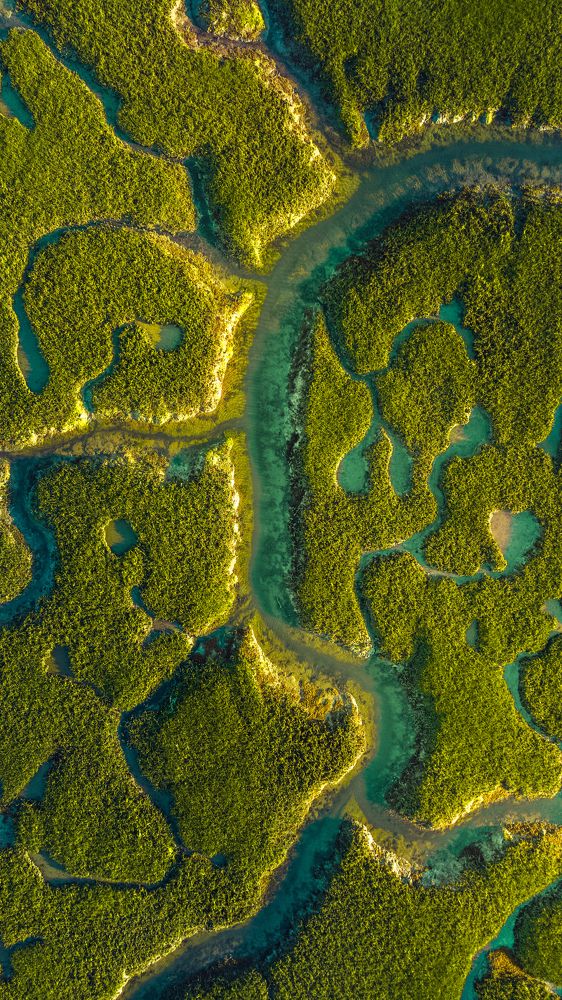 Photograph by Alina Yantsen