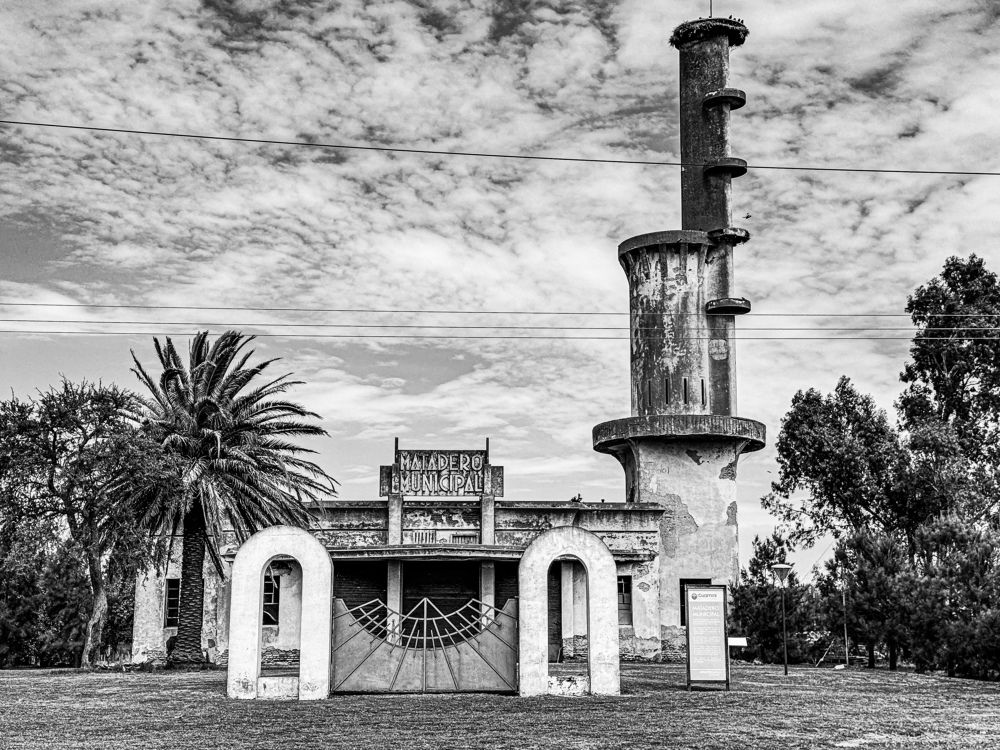 Photograph by Maria Julieta ZURZOLO