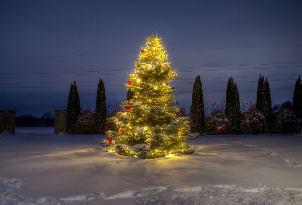 Фотография автора Юлия Кранина