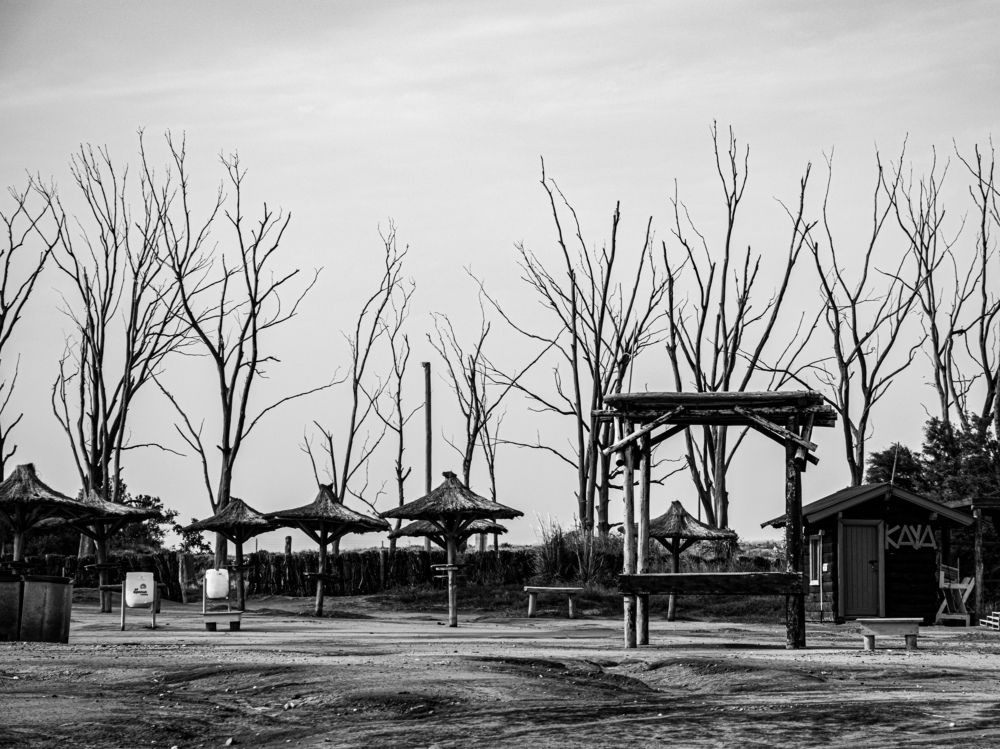 Photograph by Maria Julieta ZURZOLO