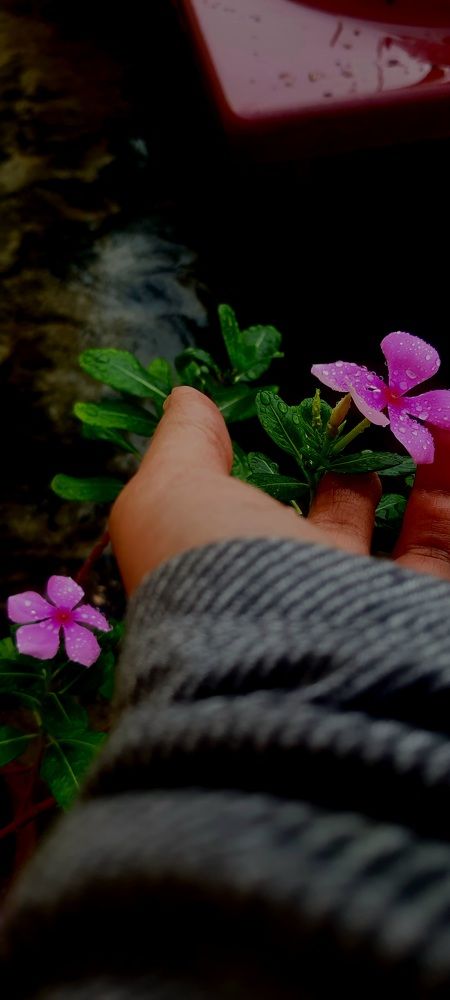 Photograph by Riddhima Sharma