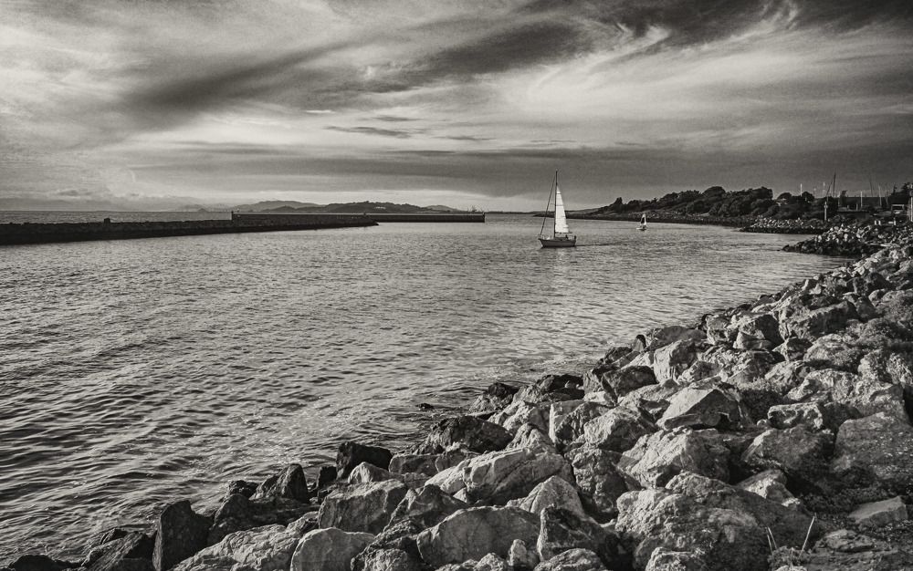 Photograph by Владимир Гречанинов