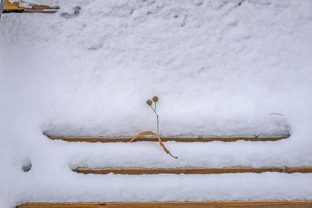 Photograph by Валерий Клейменов