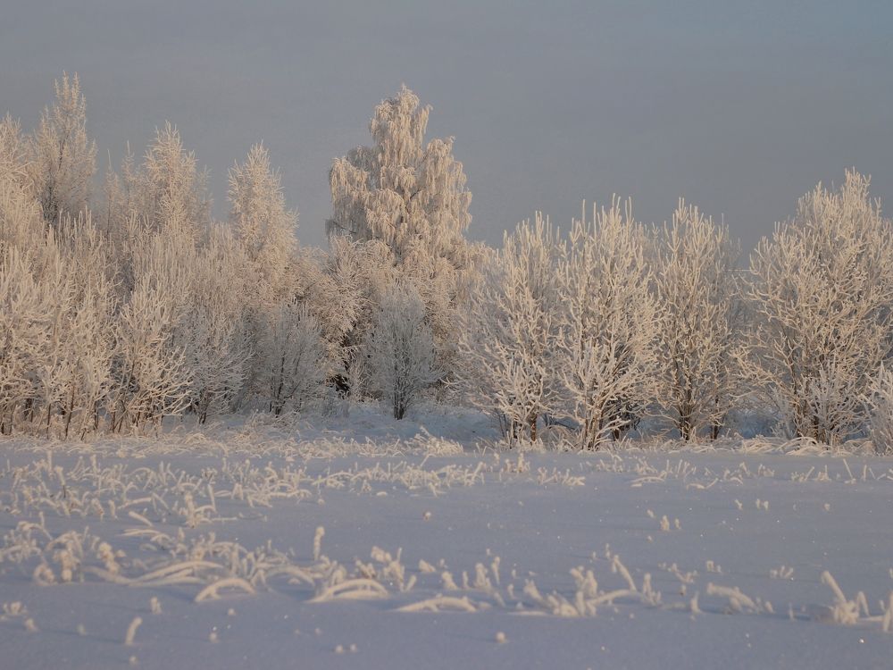 Фотография автора Андрей Шестаков