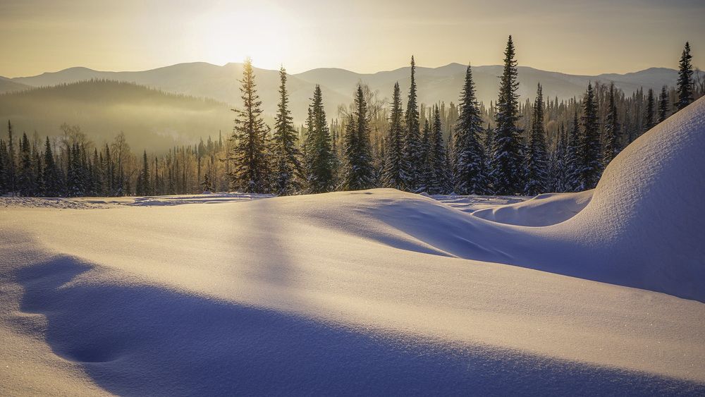 Photograph by Татьяна Добровольская