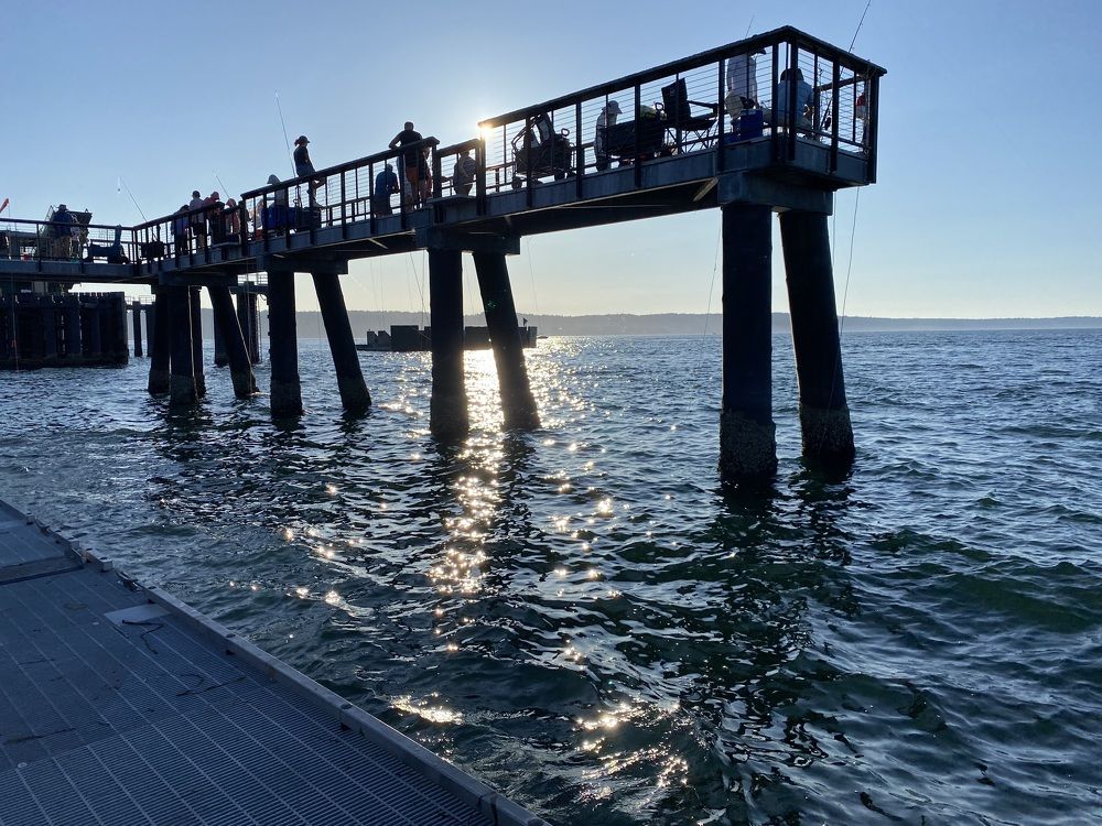 Photograph by Rosa Alegría