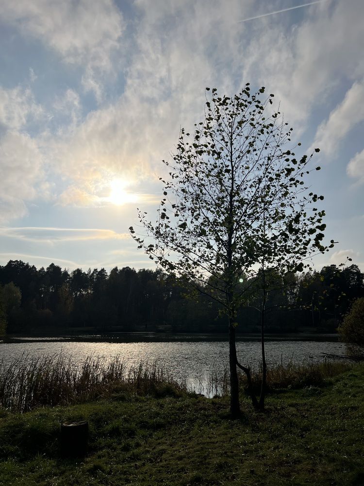 Photograph by Анастасия Германова