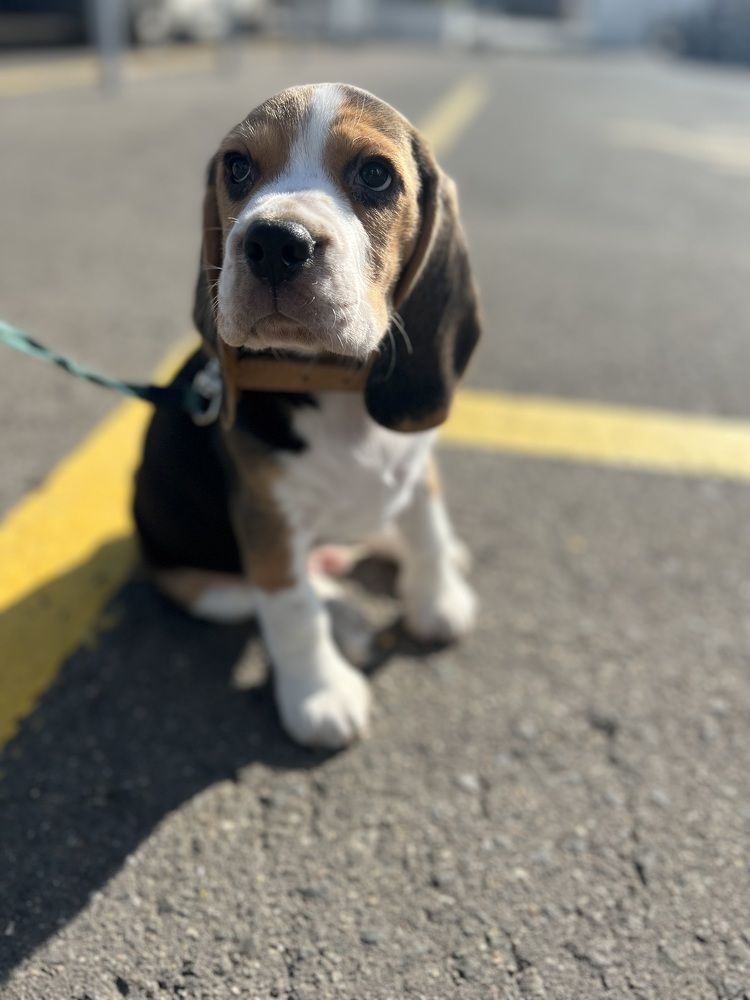 Photograph by Анастасия Германова