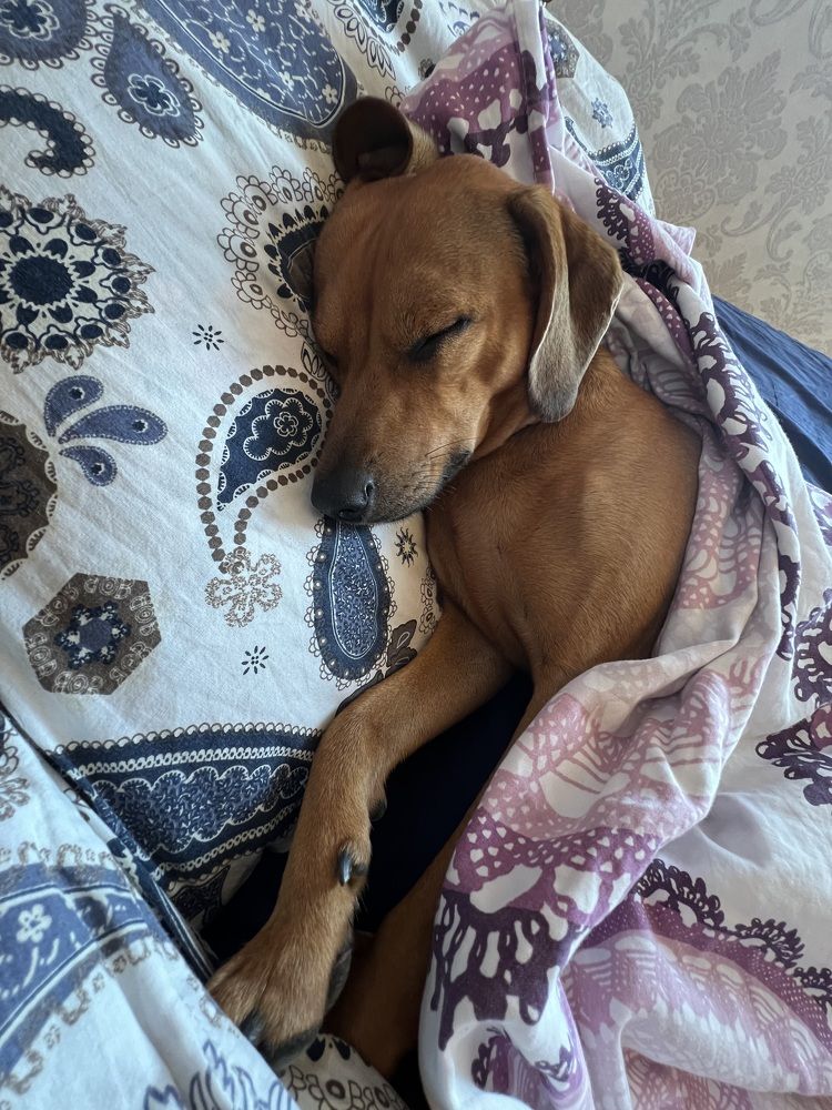 Photograph by Анастасия Германова