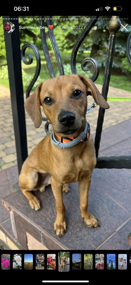 Photograph by Анастасия Германова