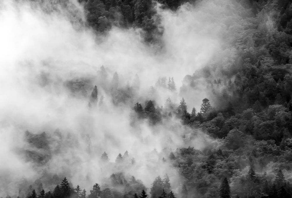 Фотография автора Mojtaba Chenari