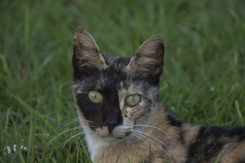 Photograph by Валентина Лопаткина