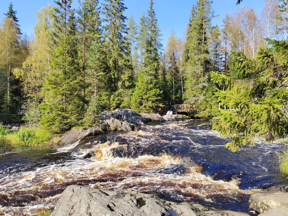 Photograph by Наталья Веряскина