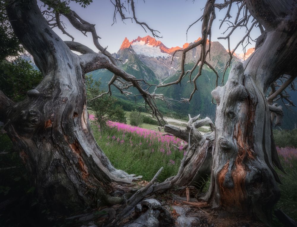 Photograph by Антон Агарков