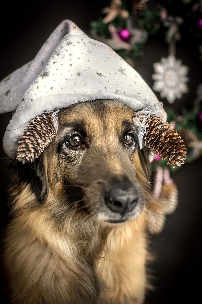 Photograph by Альфия Агзами