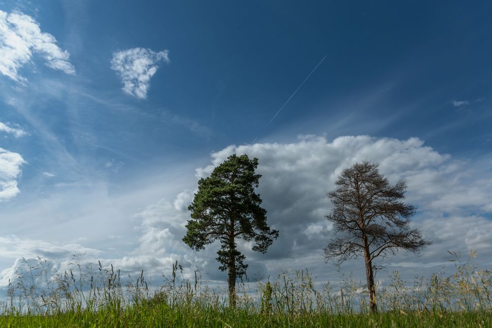 Photograph by Татьяна Зубехина