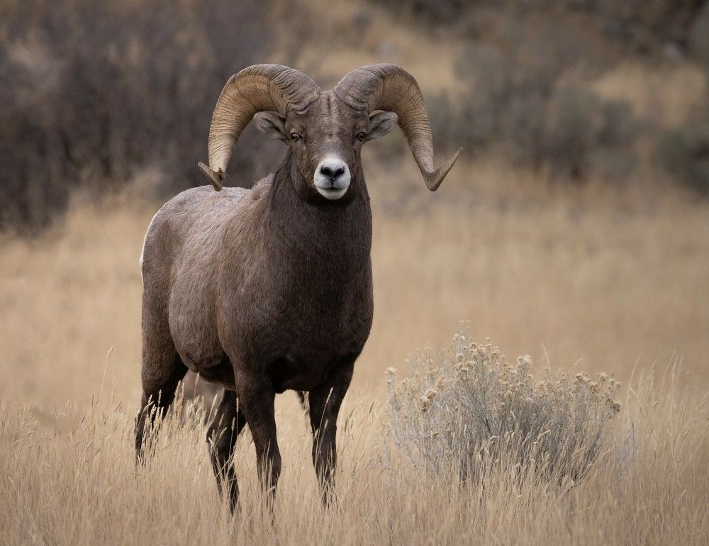 Photograph by Bevzenko Roman