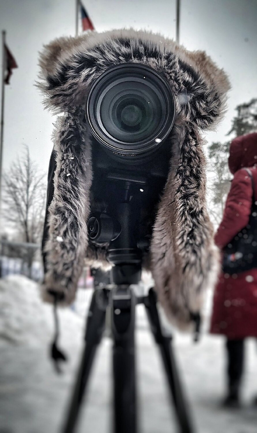 Photo #11556687