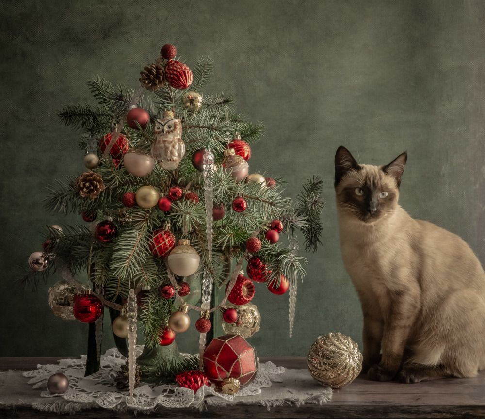 Photograph by Milla Walmus