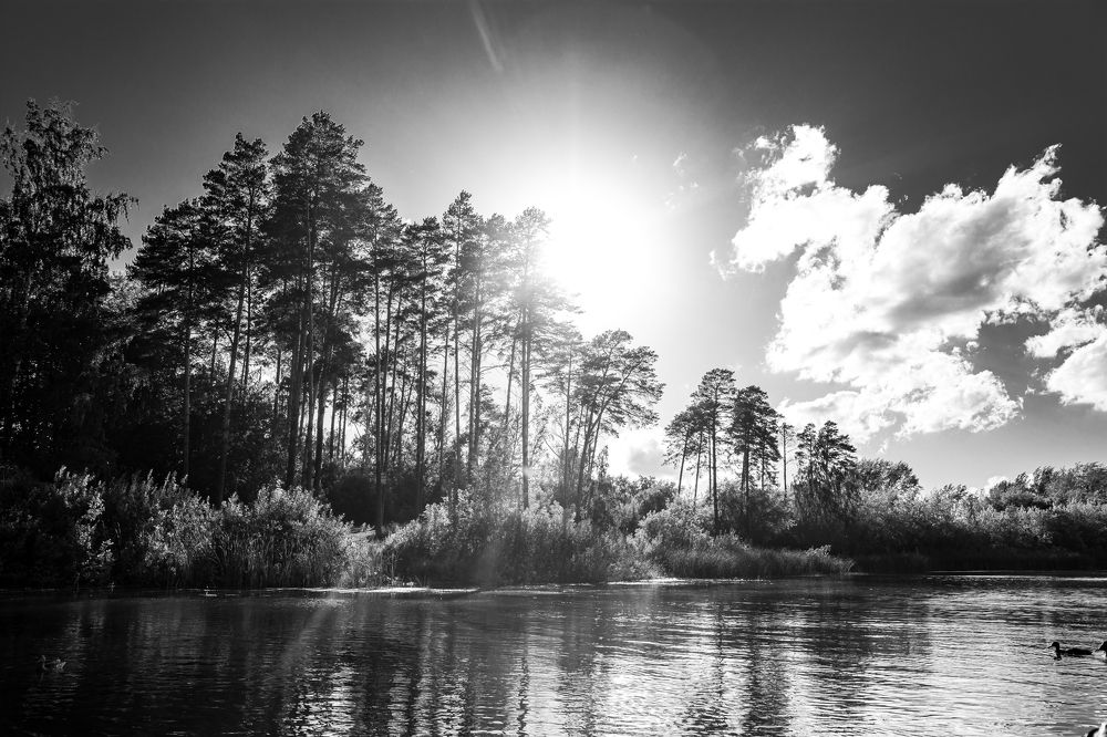 Photograph by Елена Берсенёва