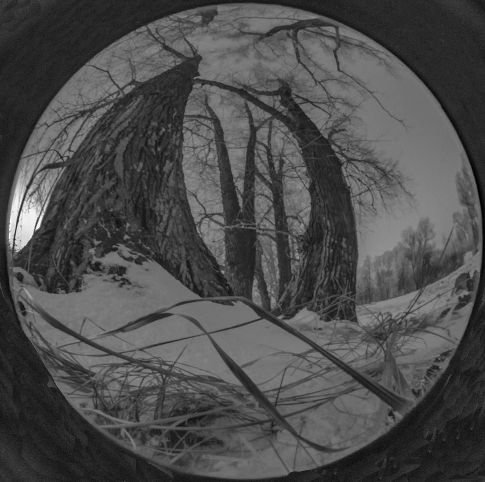 Photograph by Сергей Синягин