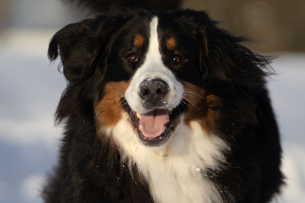 Photograph by Olga Varlamova