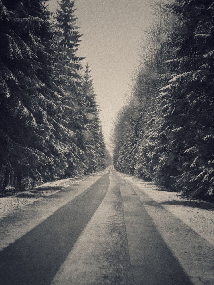 Photograph by Галина Махонь