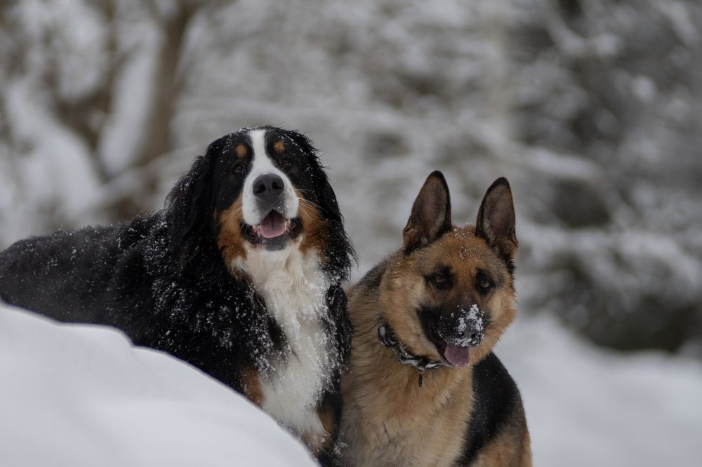 Photograph by Olga Varlamova