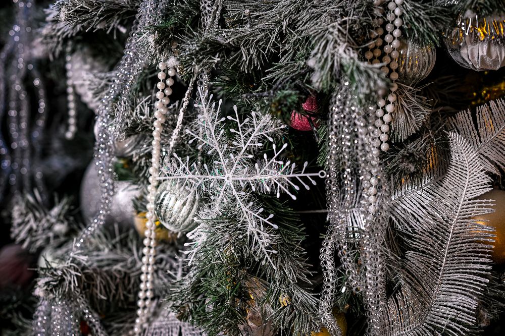 Photograph by Елена Берсенёва