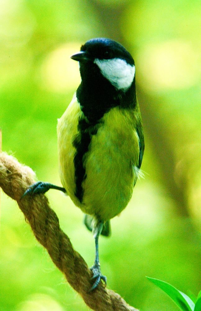 Photograph by Ирина Швейнова