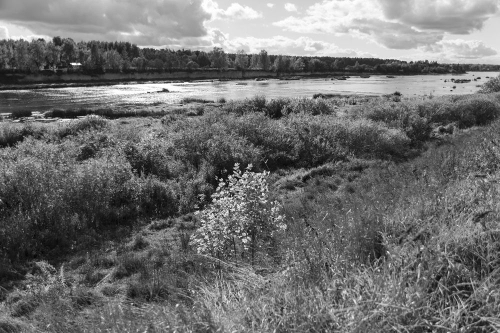 Photograph by Лилия Кондратьева