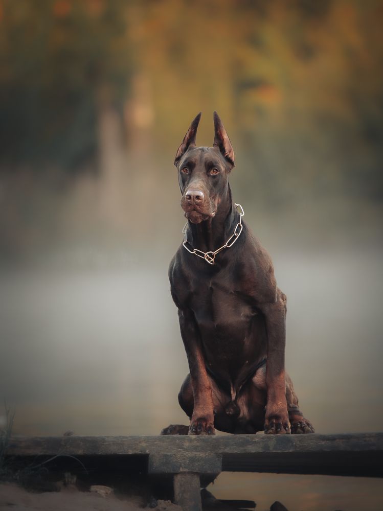 Photograph by Мария Клещенко