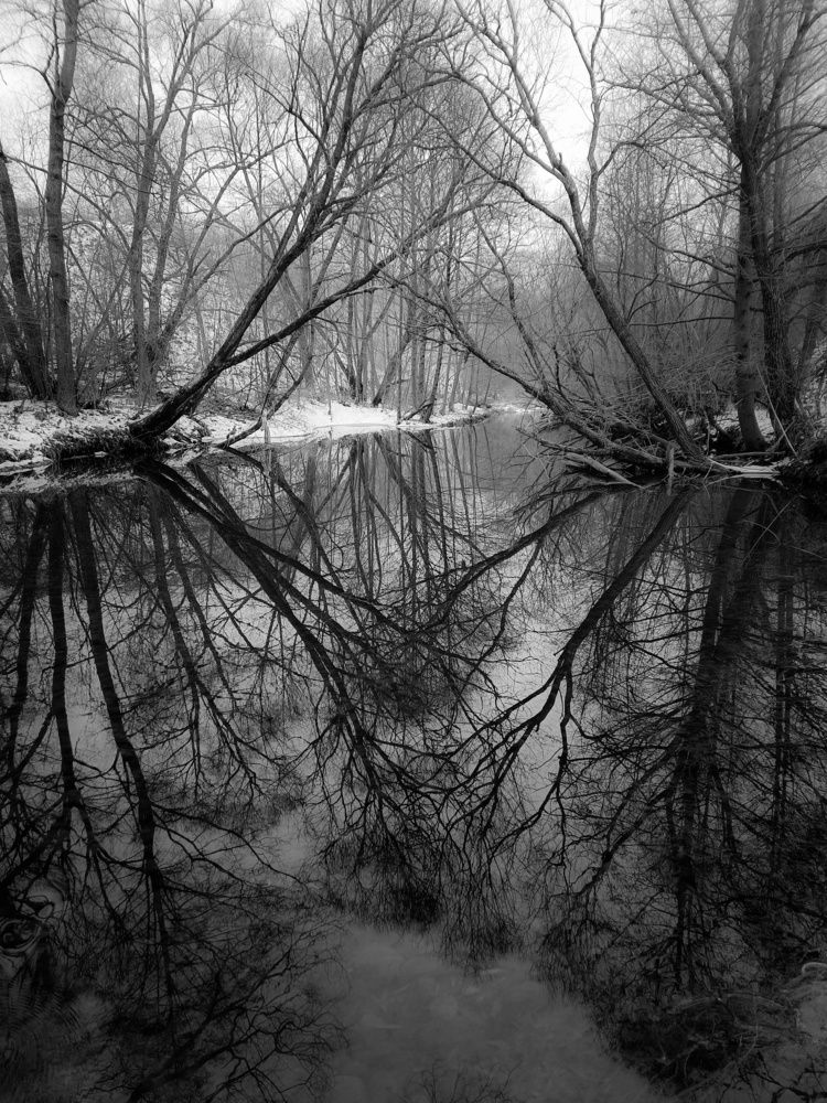 Photograph by Кондрашова Светлана