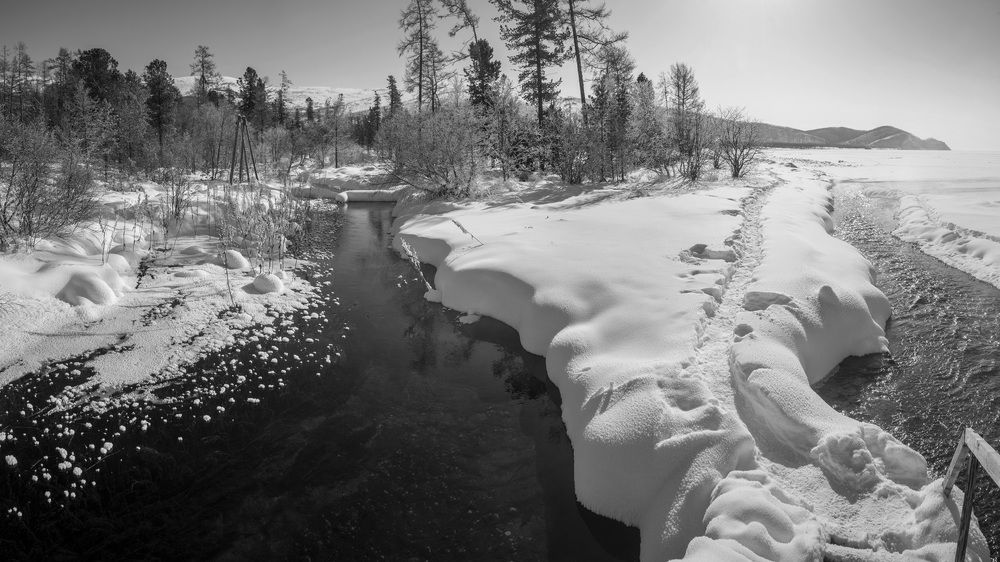 Фотография автора Татьяна Добровольская