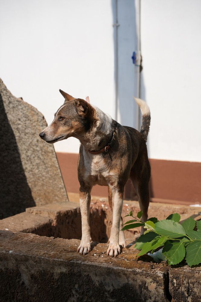 Фотография автора Алексей Морозов