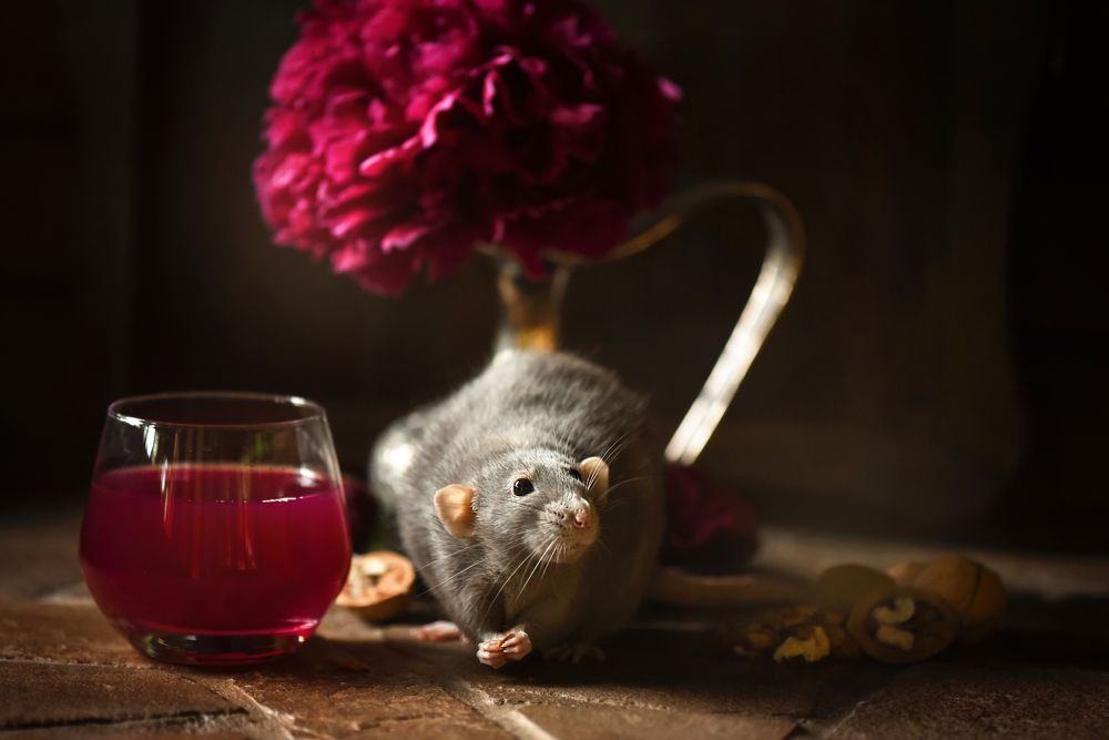 Photograph by Кос Виктория