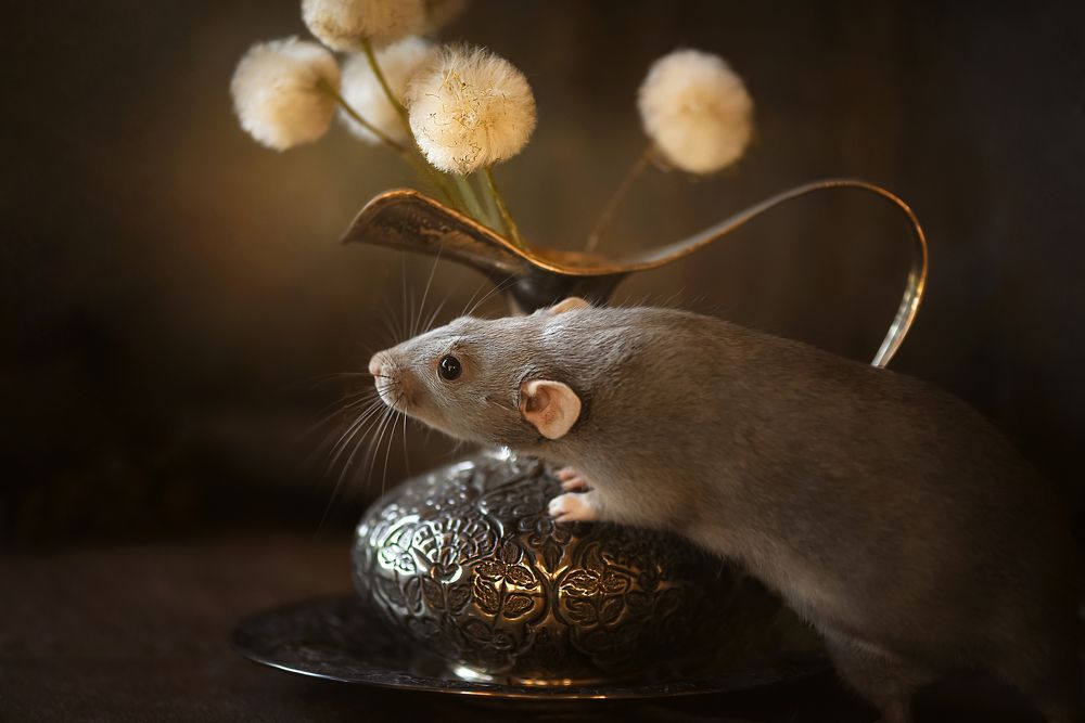 Фотография автора Кос Виктория