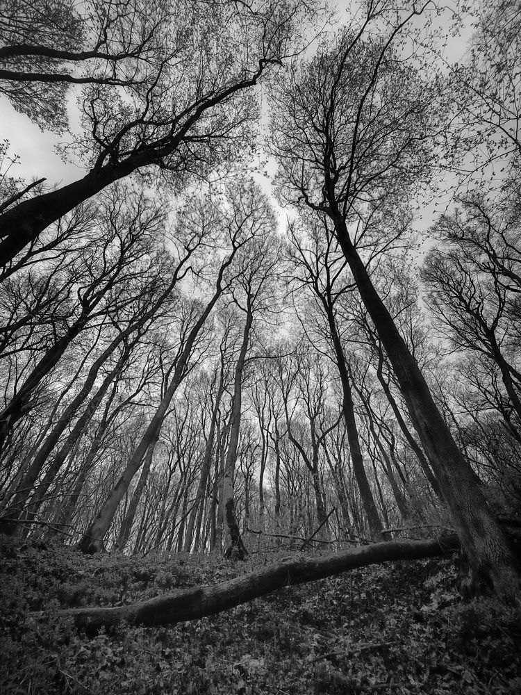 Photograph by Кондрашова Светлана